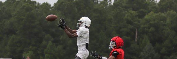 MalMingo21 Profile Banner