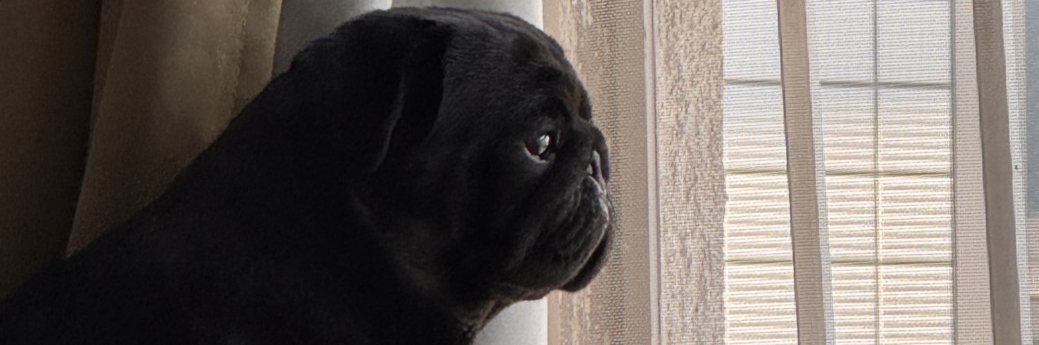 zonbie_shark's profile banner image