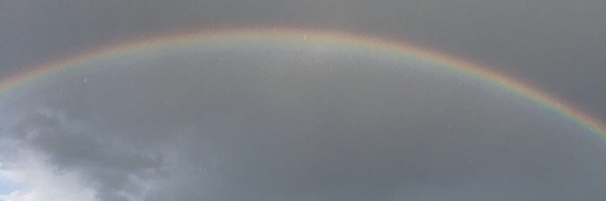 scipio218's profile banner image