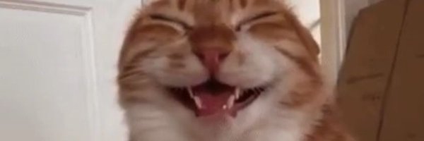 hurrytothenight Profile Banner