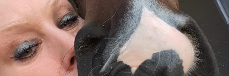 Don 🦁💜💙💜💙 banner