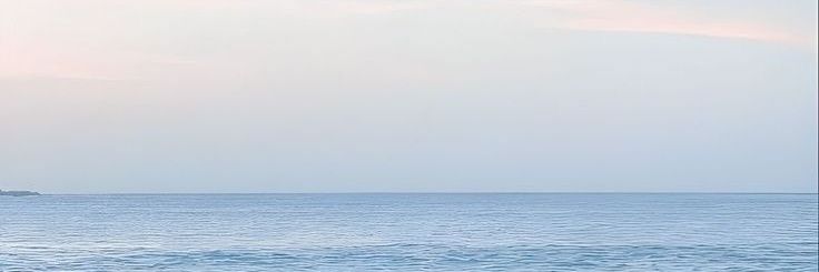 요그아웃 banner