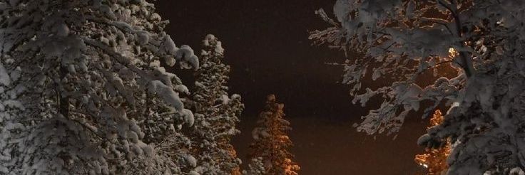 dumbwithnikos's profile banner image