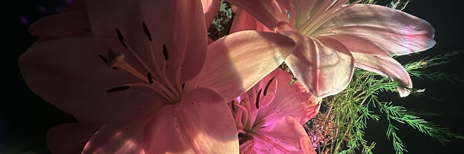 soleluaesol's profile banner image
