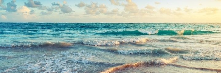 CamiCiarrapico's profile banner image