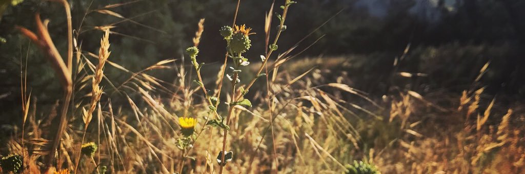 agrahamwilcox's profile banner image
