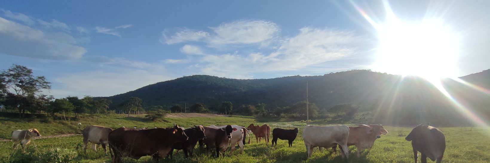 humbertomp23's profile banner image