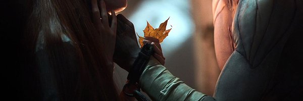 Assaultshadow13 Profile Banner