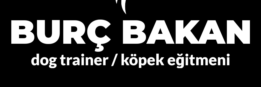 dogtrainer_burc's profile banner image
