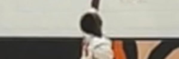 Jamarion Ellison banner