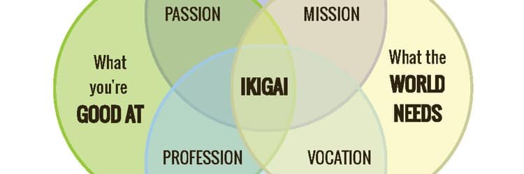 Dr Simon Moralee banner