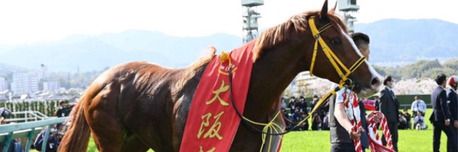 tawachin's profile banner image