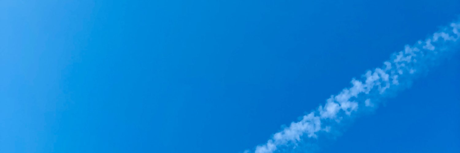 いか人参 banner