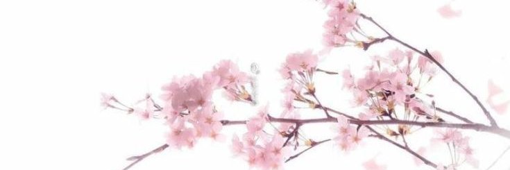 luvluzmi's profile banner image