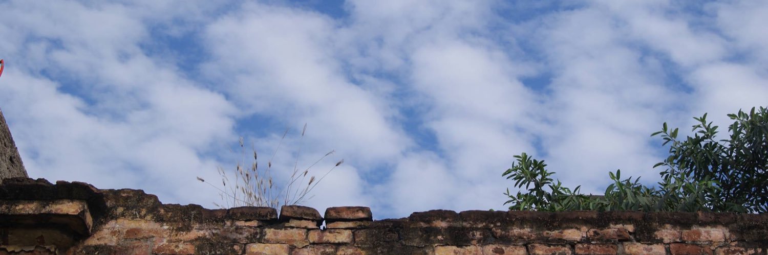 ferguemez's profile banner image