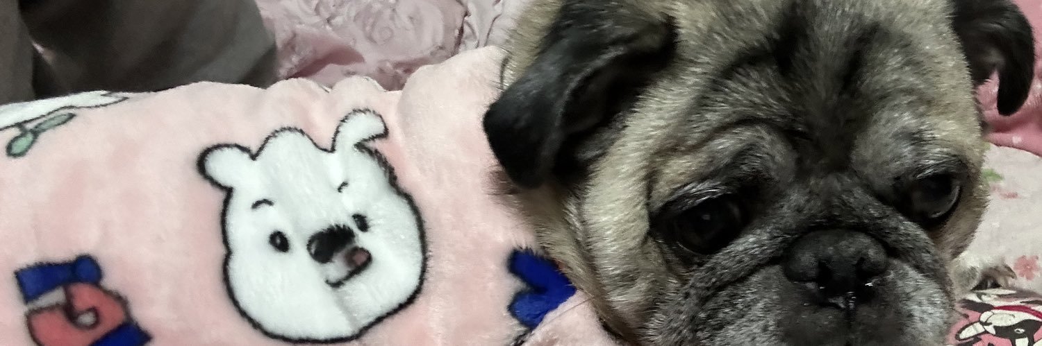 らちゃっぱ。 banner