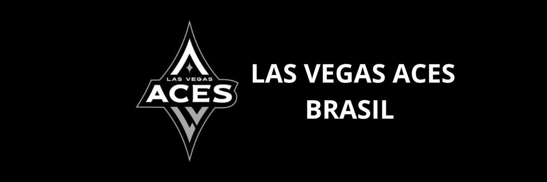 LVAcesBr's profile banner image