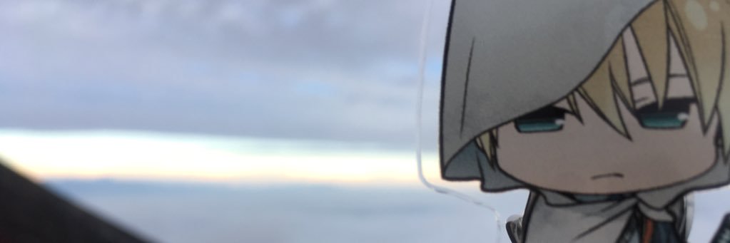 papillon0411's profile banner image