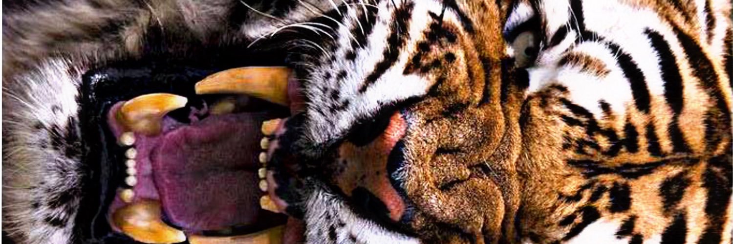 barbt_9's profile banner image
