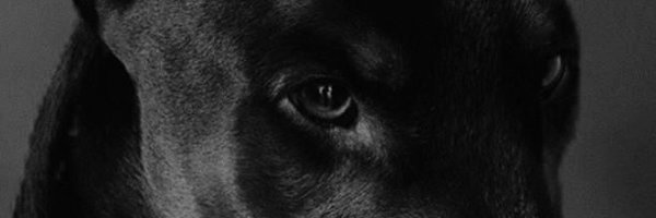 ImBackGGx Profile Banner