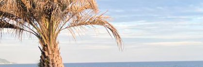 HQa_92's profile banner image