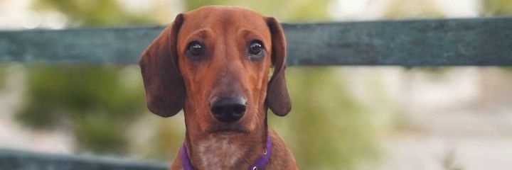 OctavioLagger's profile banner image