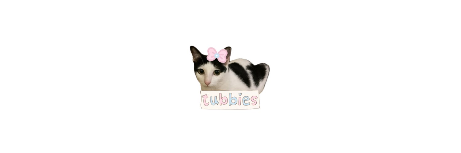 tubbiesticket's profile banner image
