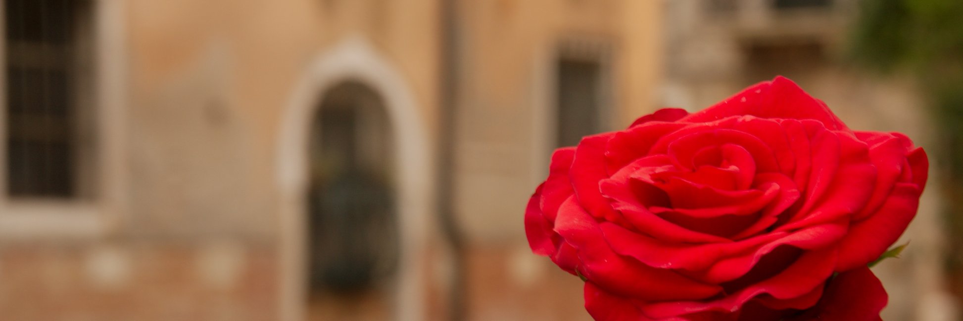 Venice_tours's profile banner image