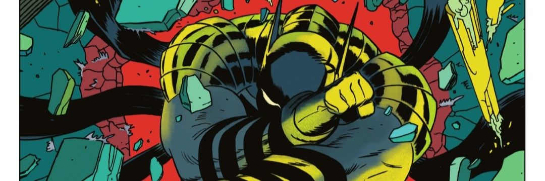 V/robin🦇🐍 banner