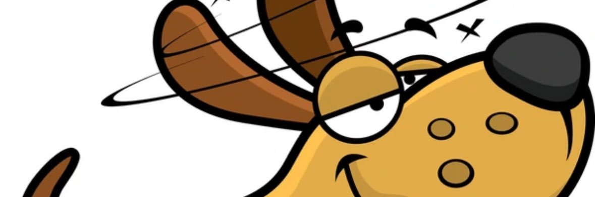 dizzypupforever's profile banner image