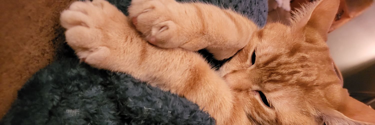 JessiJillyBean's profile banner image