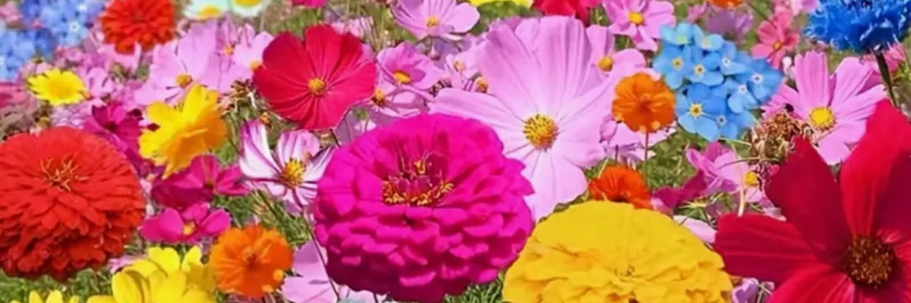 LadyBugsTweets's profile banner image
