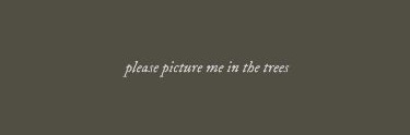 delicatekkoo's profile banner image