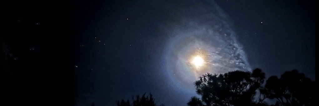nicholasmcosta's profile banner image