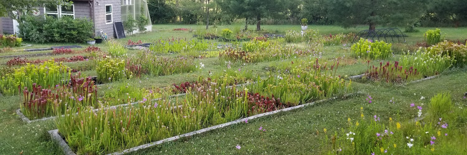 CPNursery's profile banner image