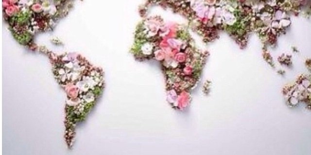 KryssTorres's profile banner image
