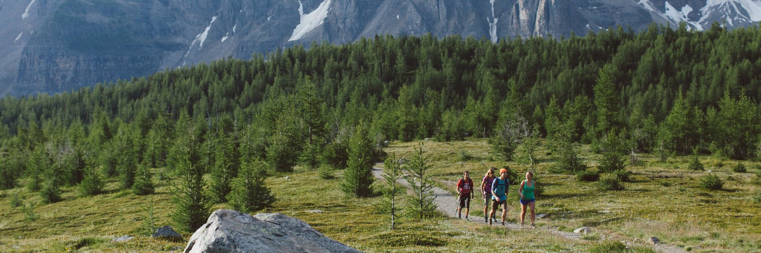 Banff Squirrel banner