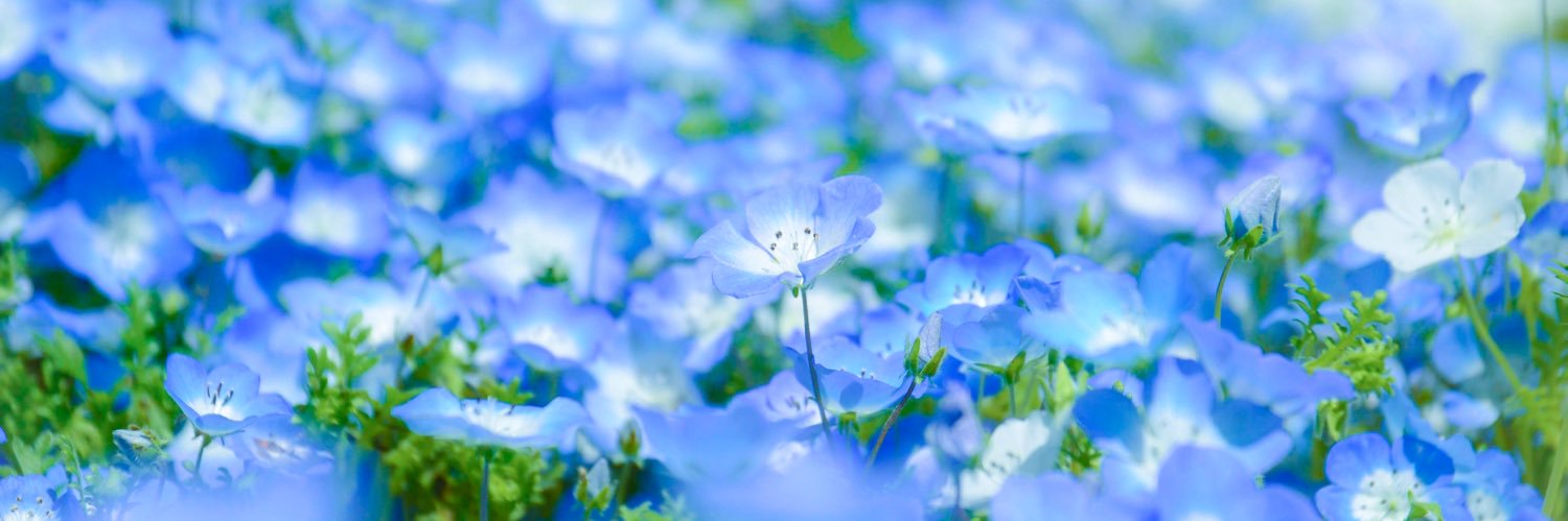 mami_hi_design's profile banner image