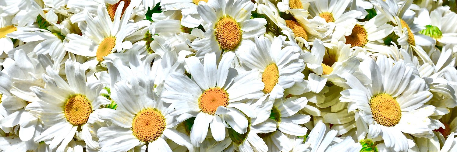 KentegraBiotech's profile banner image