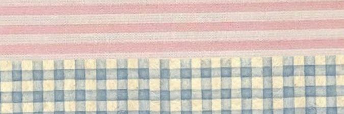 anaa ୨ৎ ²⁶ banner