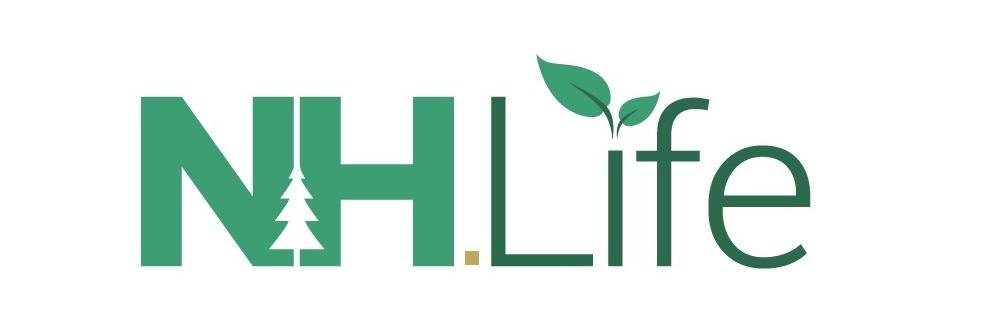NHdotLife's profile banner image