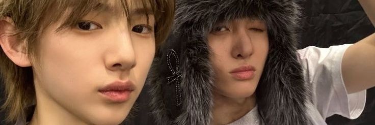 turtlestoots's profile banner image