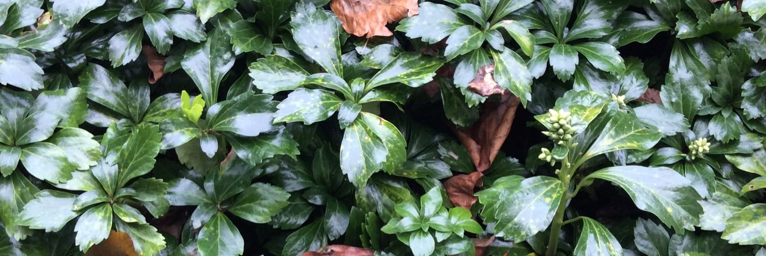 Petro Boomin ⛽️ banner