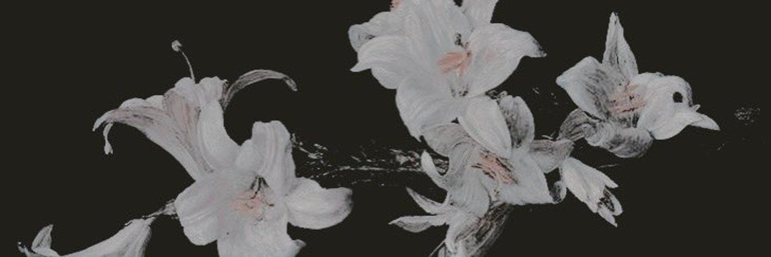 apearl_x's profile banner image
