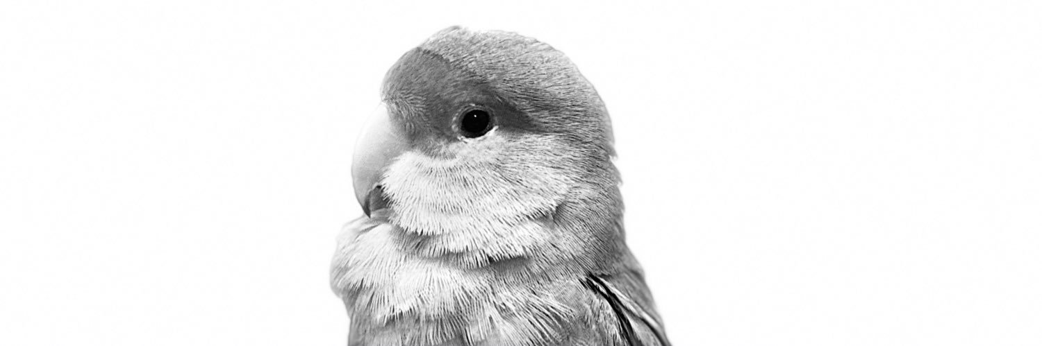 lemonosake's profile banner image
