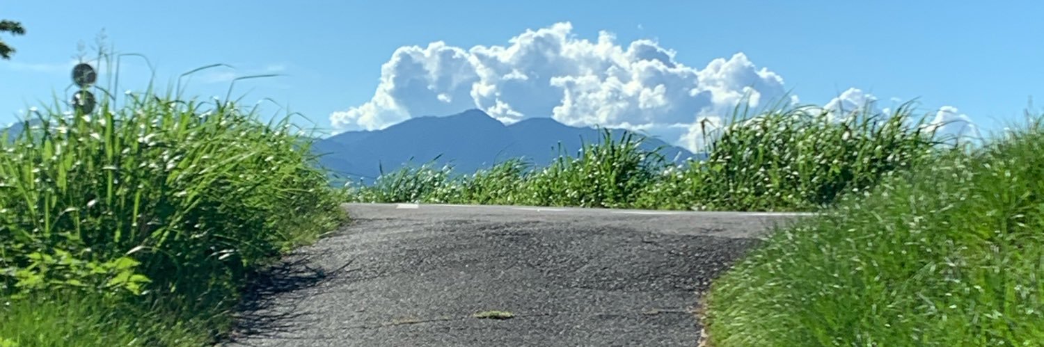 skeweredfromear's profile banner image
