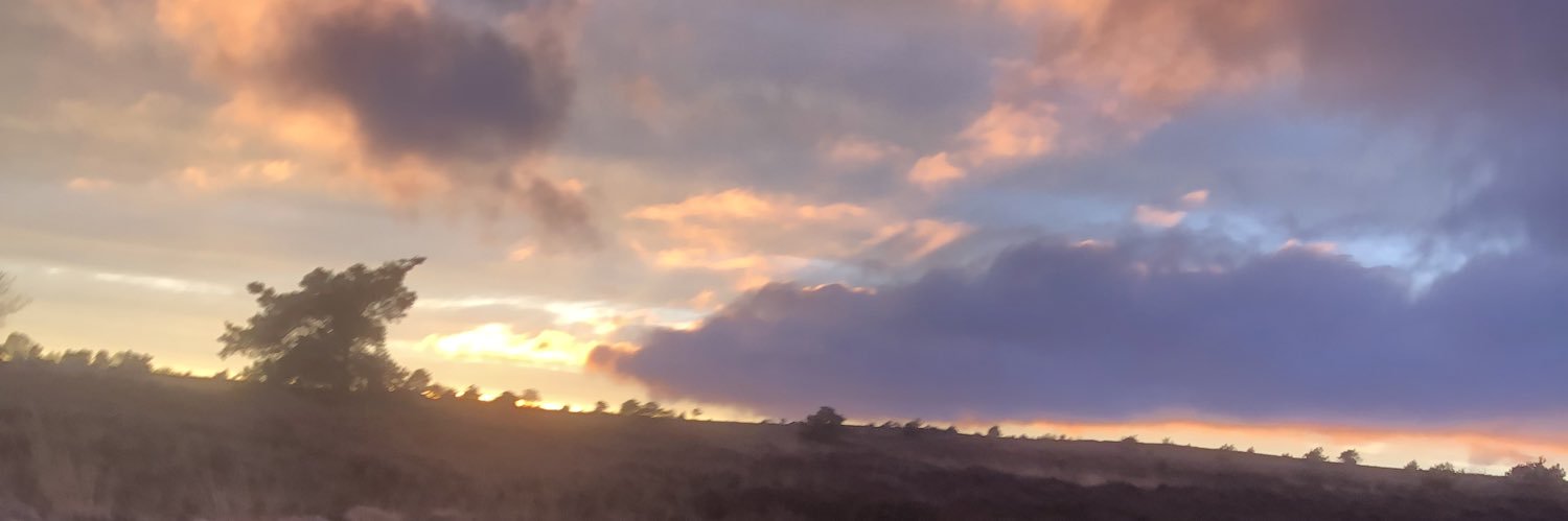 Voltfv's profile banner image