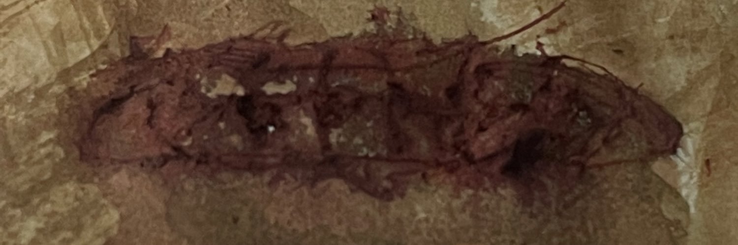 Xyq5271's profile banner image