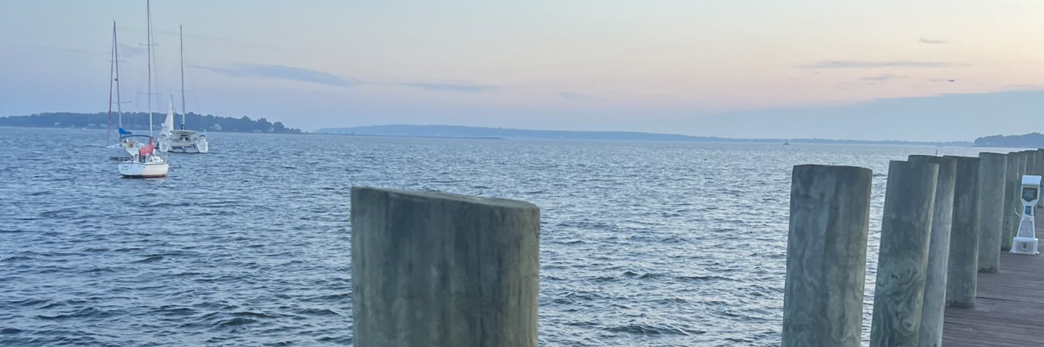 taylor 🧜🏻‍♀️'s banner