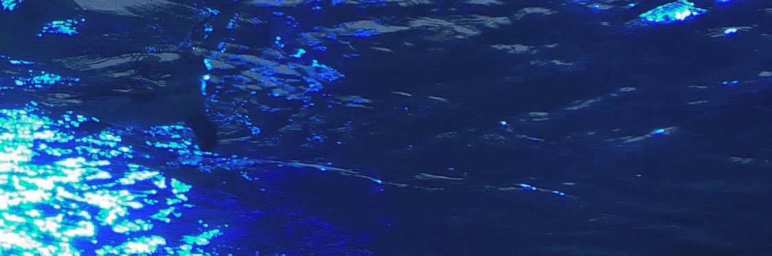 mmrrnnoi's profile banner image